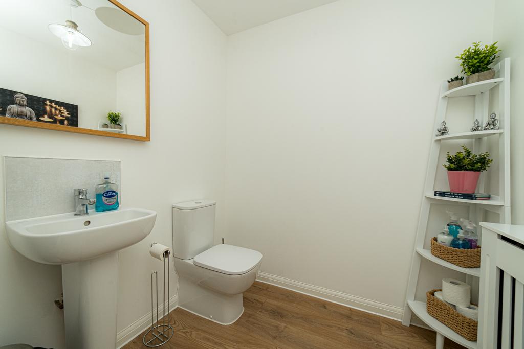 Picture 12