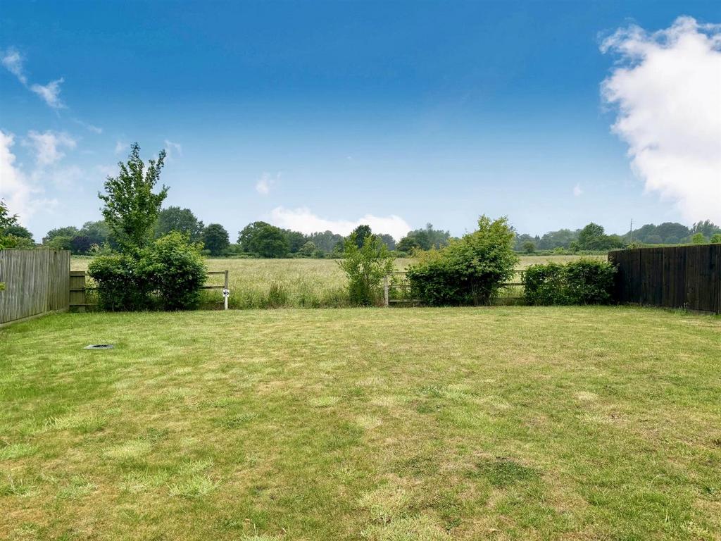 Local Fields