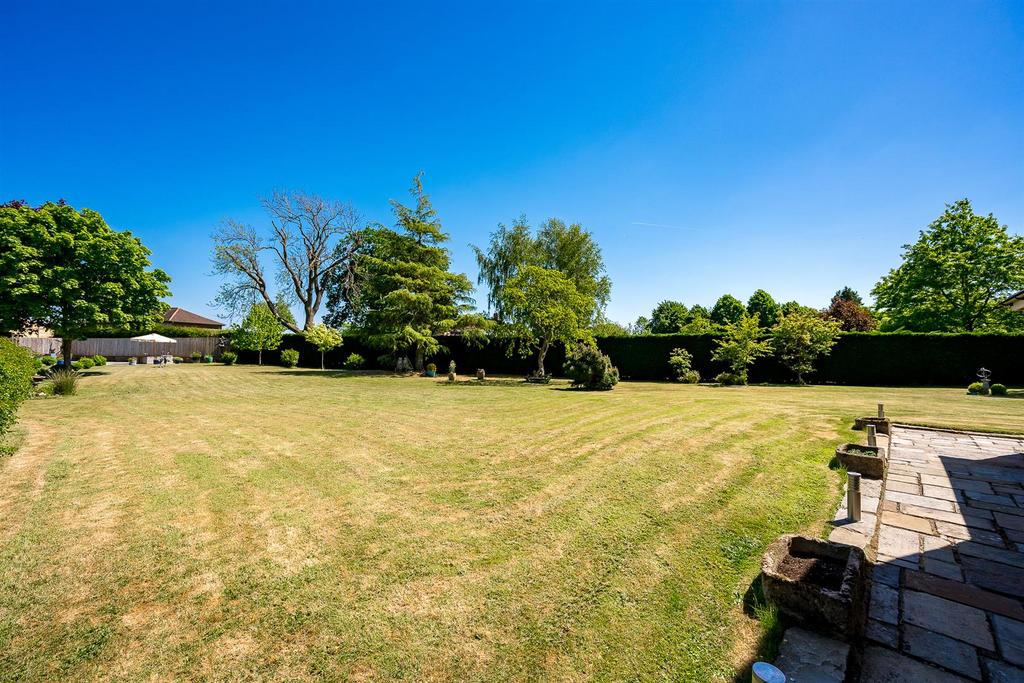 Rear garden