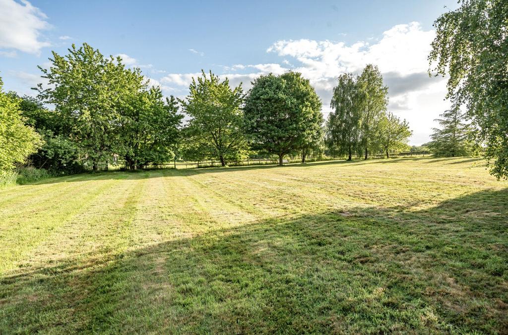 Lawn
