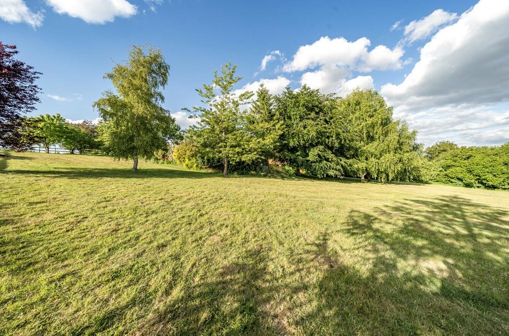 Lawn