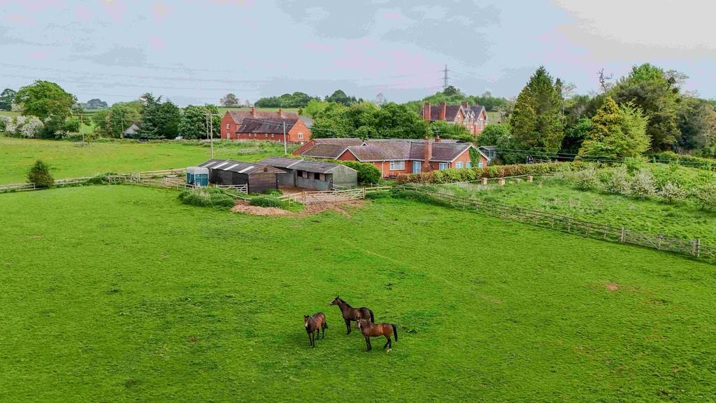 Web DJI 20250502112207 0211 D