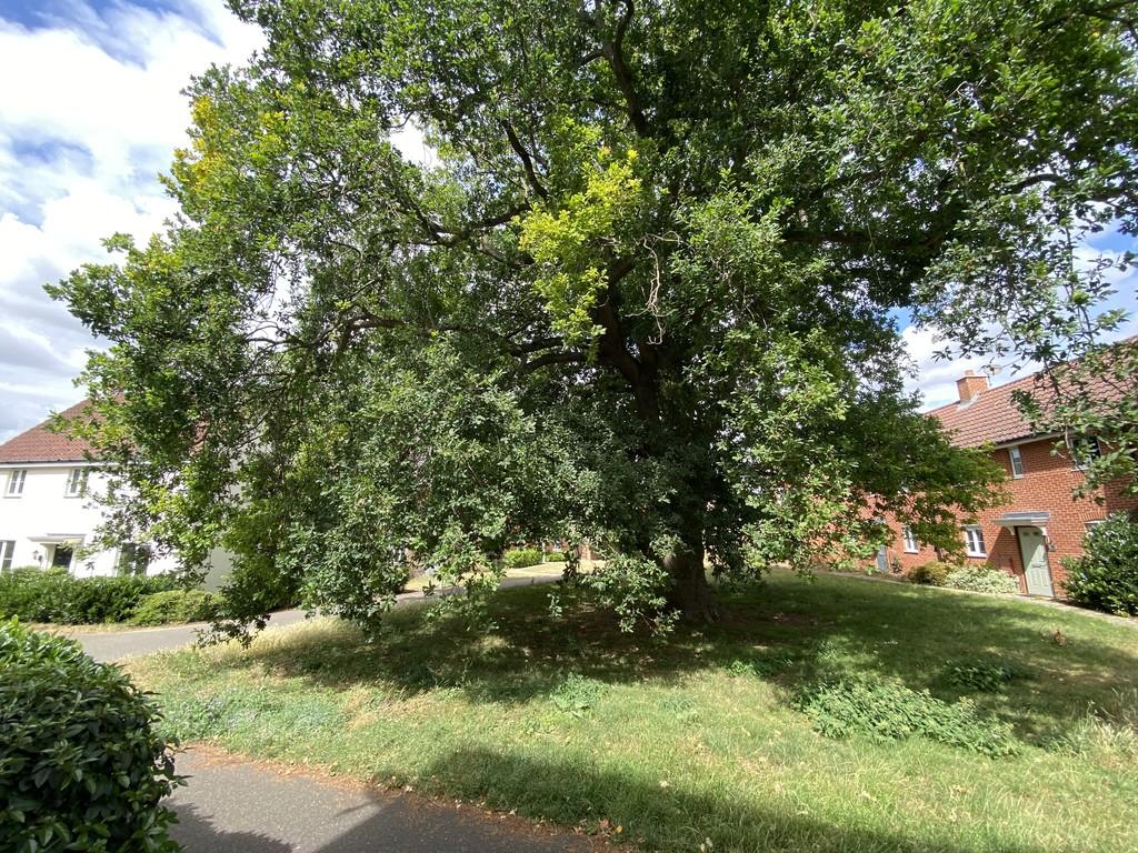 Front outlook