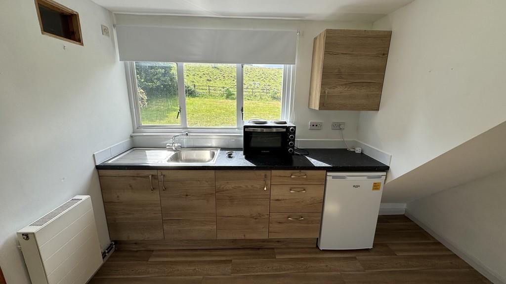 Living, bedroom and kitchen area