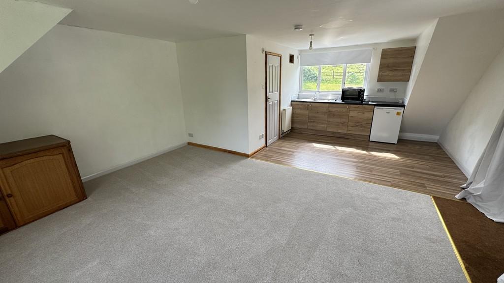 Living, bedroom and kitchen area