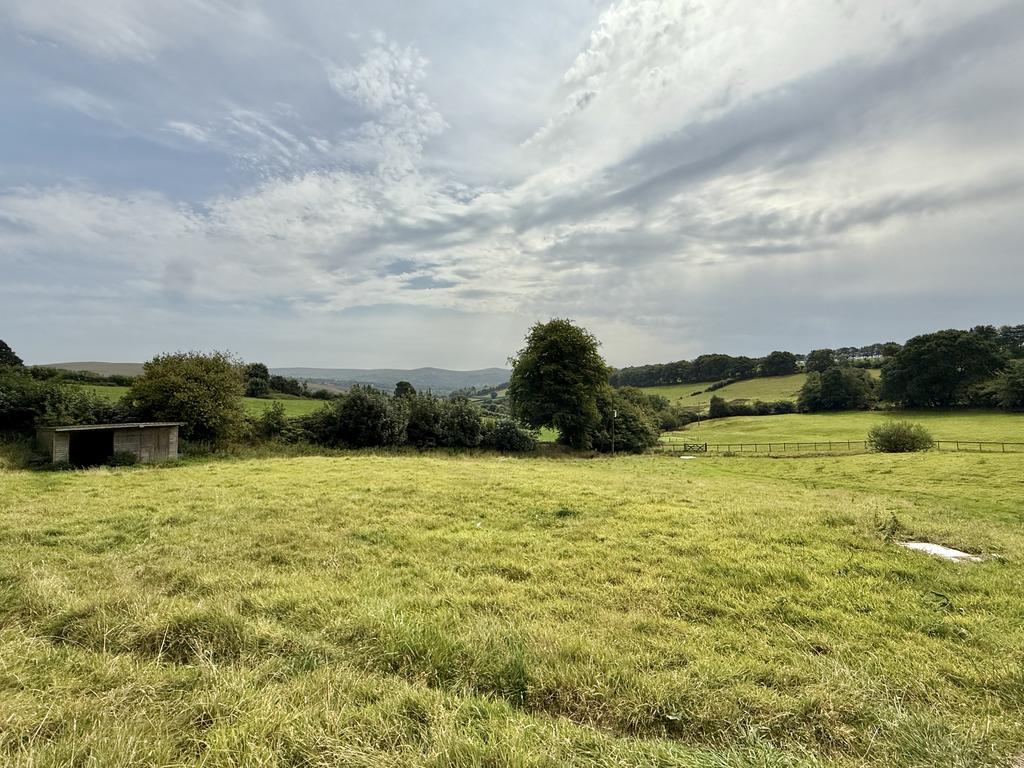 View from Garden