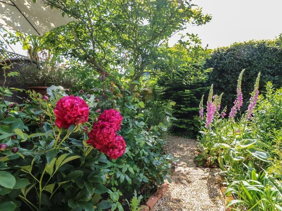 Thumbnail Garden.jpg