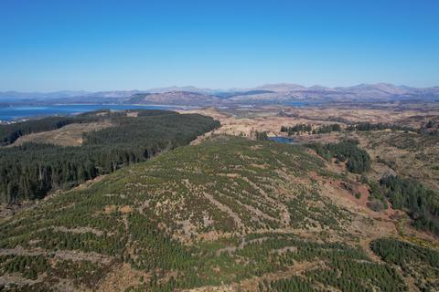 undefined, Polvinister Wood, Near Oban, Glencruitten PA34