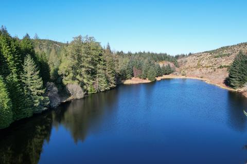 undefined, Polvinister Wood, Near Oban, Glencruitten PA34
