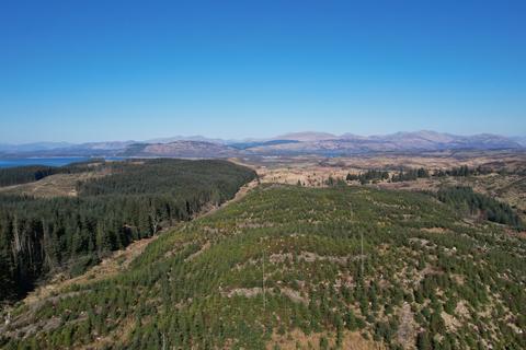 undefined, Polvinister Wood, Near Oban, Glencruitten PA34