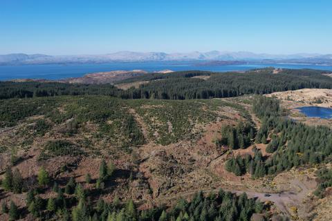undefined, Polvinister Wood, Near Oban, Glencruitten PA34