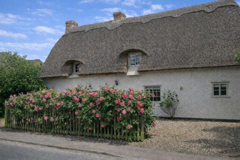 undefined, Foxton CB22