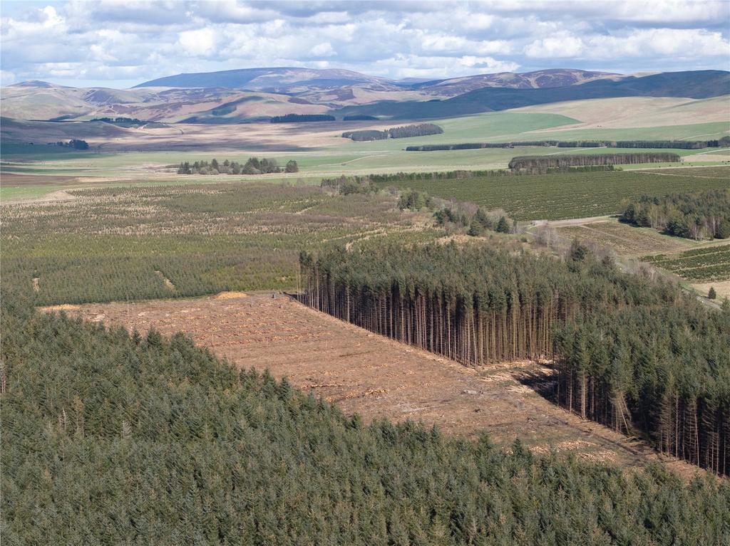 Drone Image