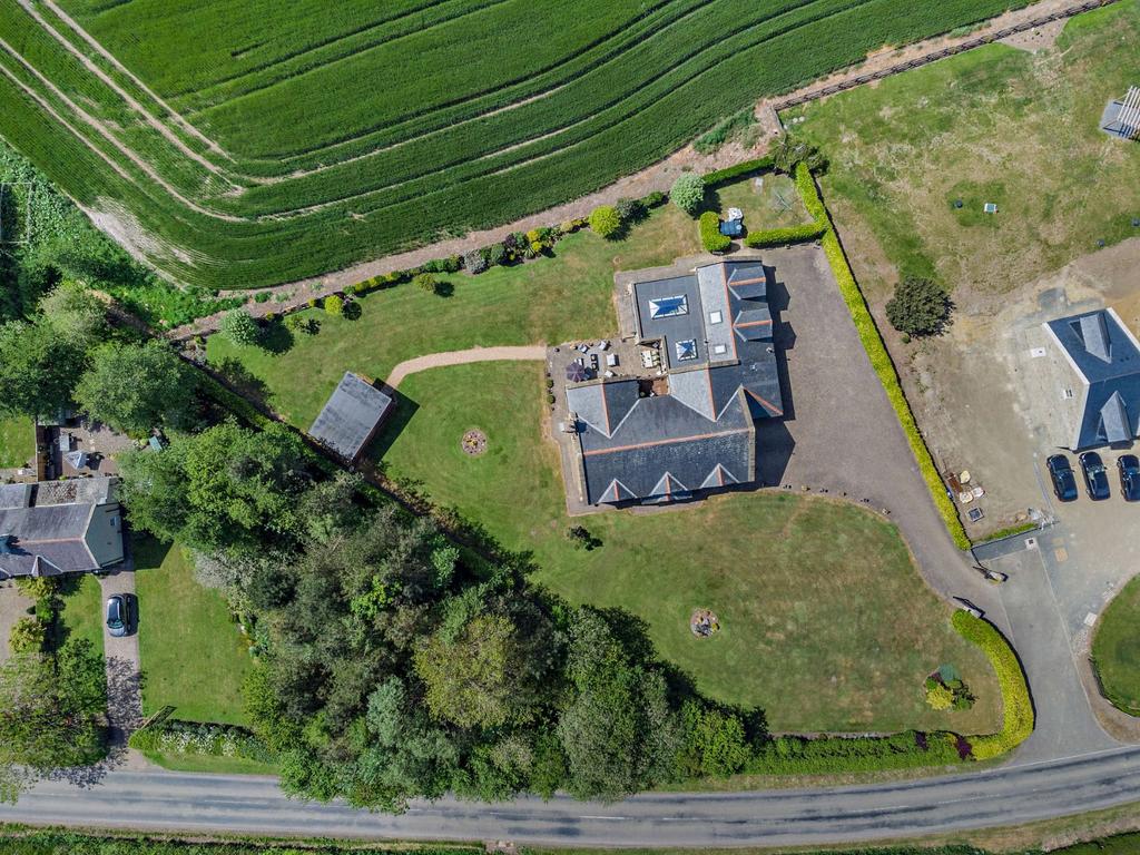 From Above