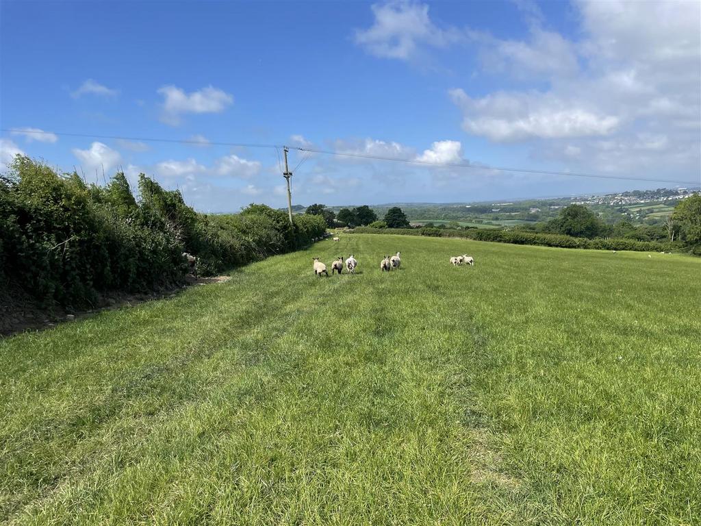 IMG 8524.jpeg
