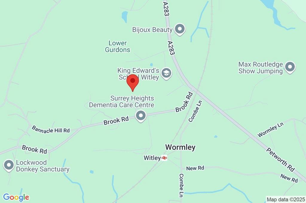 Google Maps Image