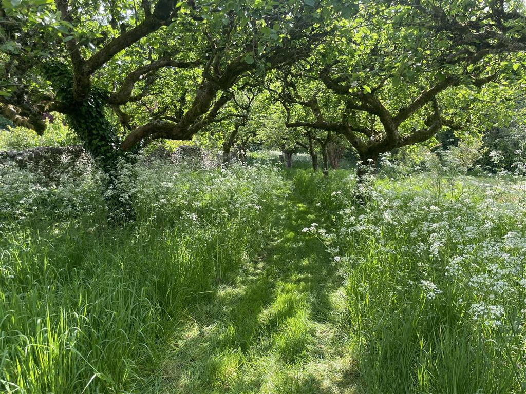 Garden 4.JPG