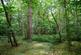 Camden Hill, Sissinghurst TN17