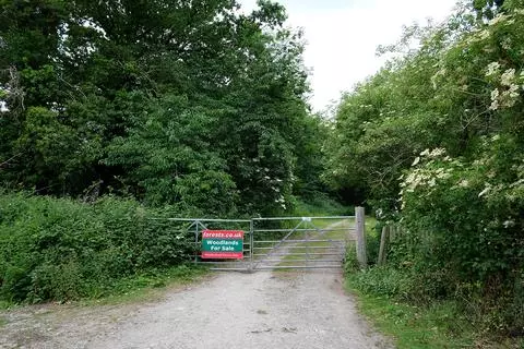 Woodland for sale - View 2