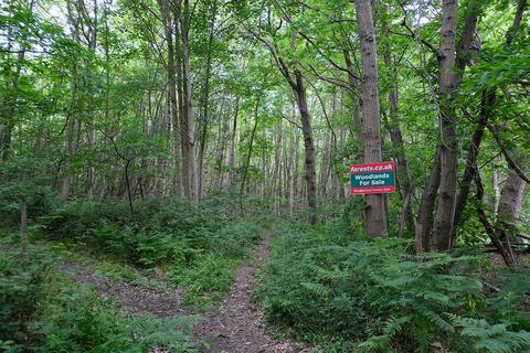 undefined, Camden Hill, Sissinghurst TN17