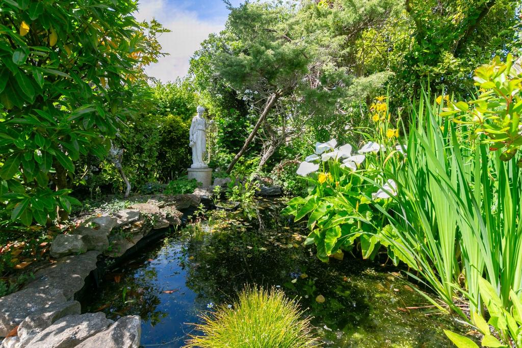 Pond