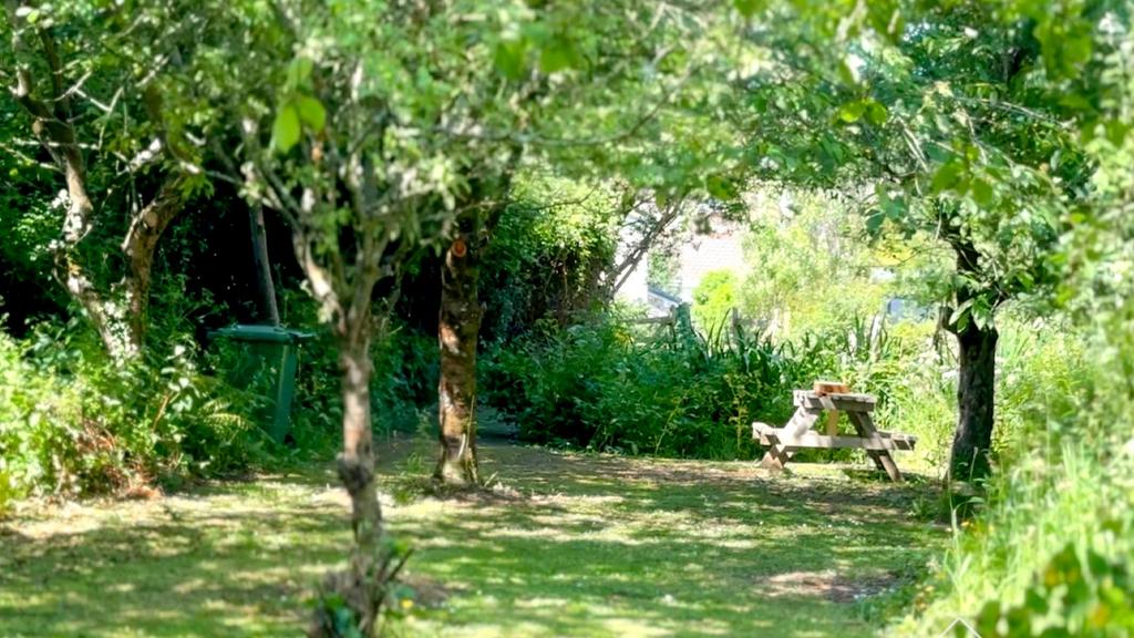 Garden 5.jpg