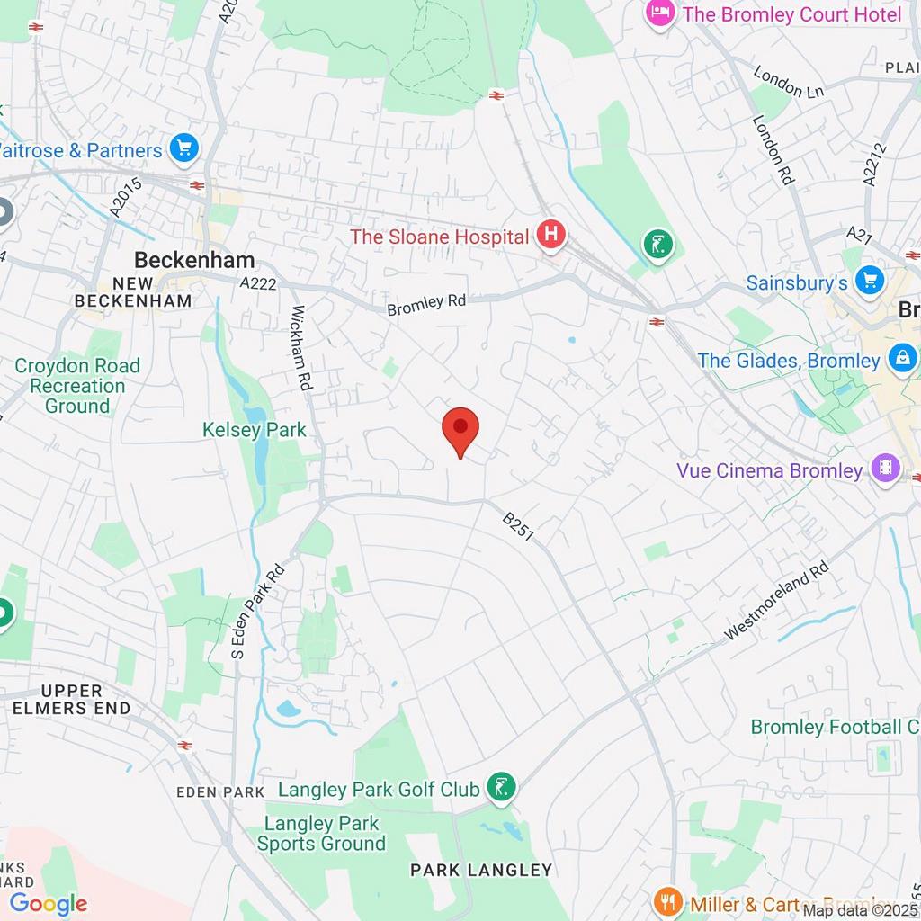 Google Maps Image