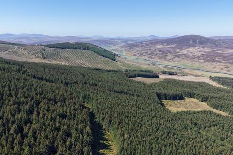 undefined, Torrish Forest, Near Helmsdale, Sutherland  KW8