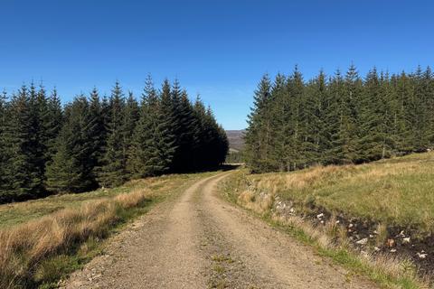 undefined, Torrish Forest, Near Helmsdale, Sutherland  KW8