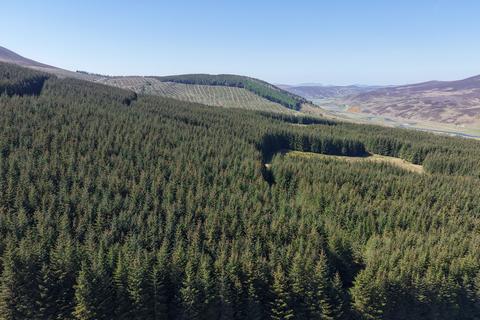 undefined, Torrish Forest, Near Helmsdale, Sutherland  KW8