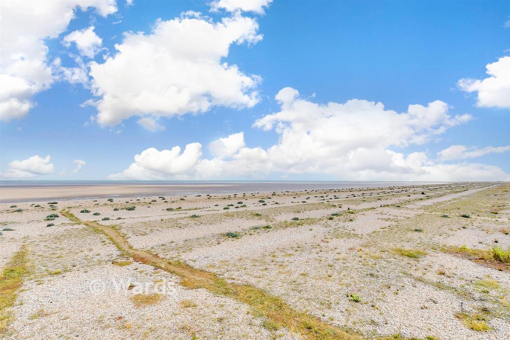 Surrounding Area