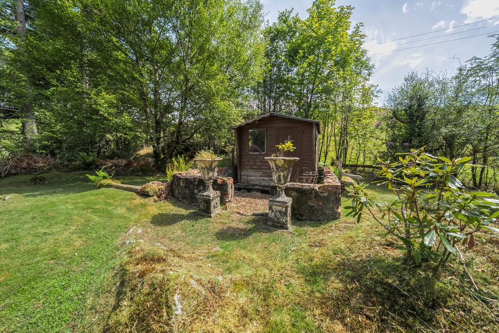 Woodland Garden