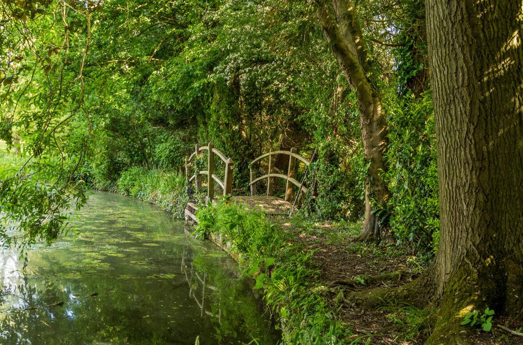 1298086-6827737ebf9bf-ARW-3