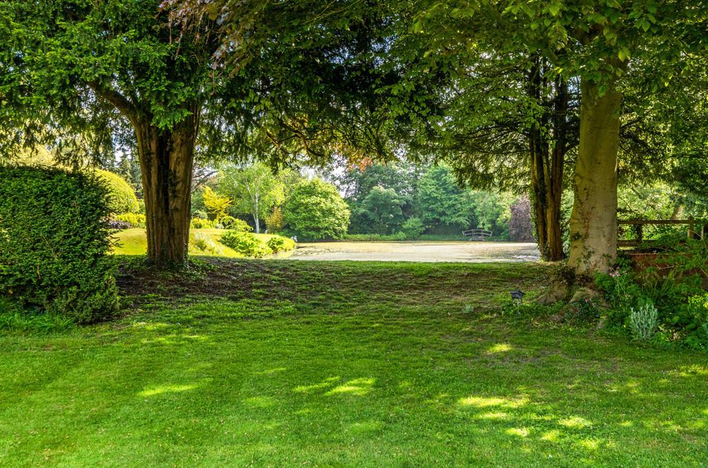 1298086-6827737ebf9bf-ARW-13