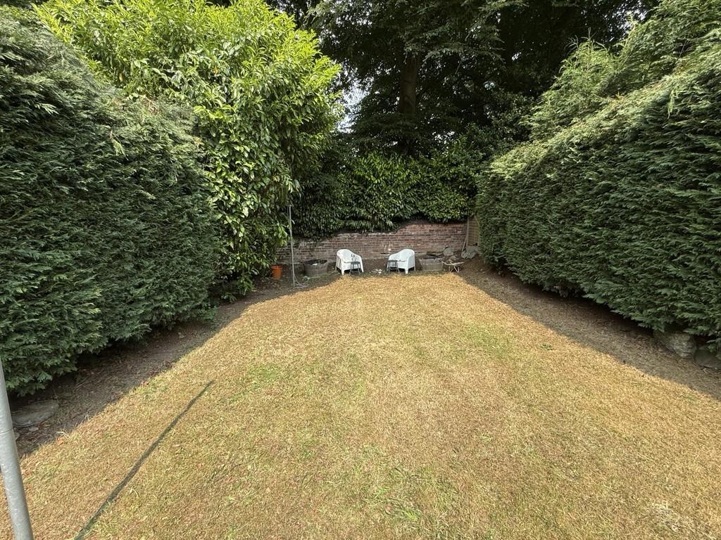 Img 7715