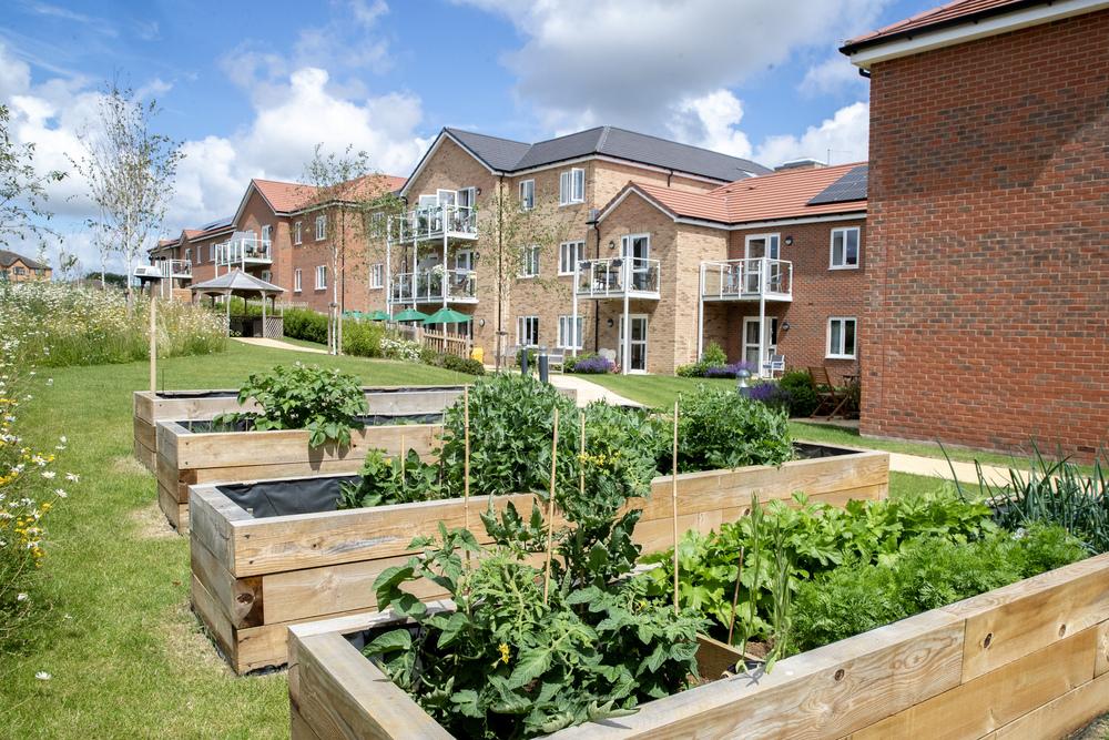 Shared gardens