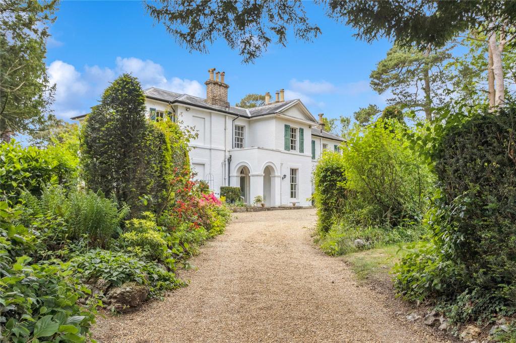Driveway