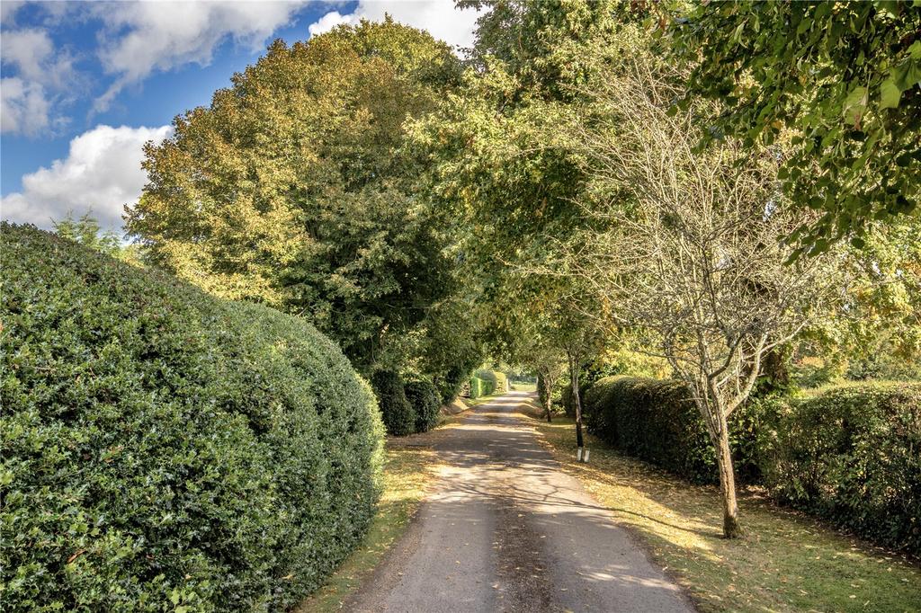 Driveway