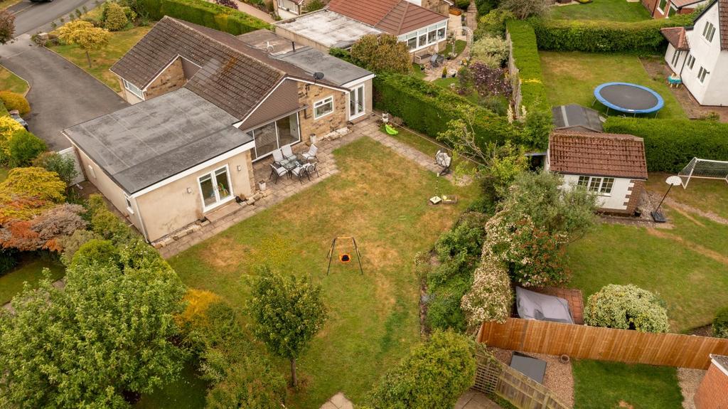 DJI 0342.jpg