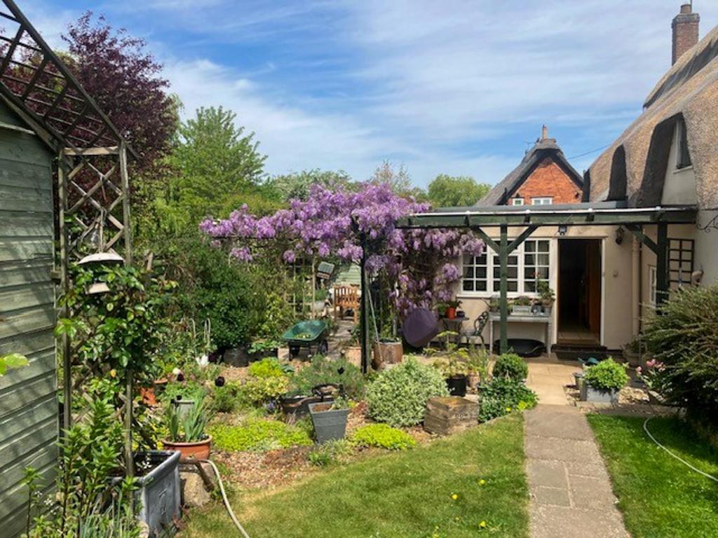 Garden 4.jpg