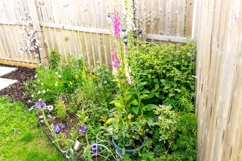 Rear garden