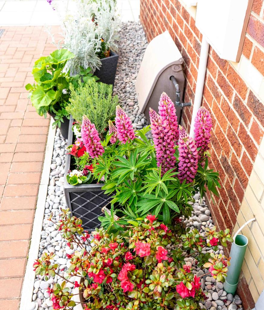 Rear garden
