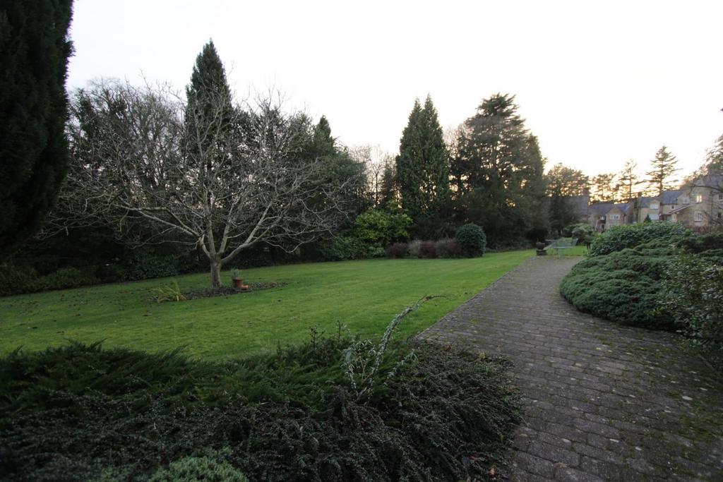 Img 0437.jpg