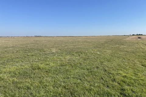 undefined, Grazing Marsh, A47 Acle New Road, Great Yarmouth, Norfolk, NR30