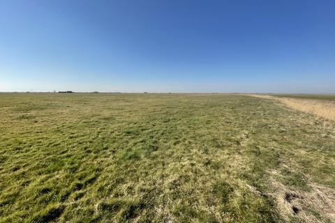 undefined, Grazing Marsh, A47 Acle New Road, Great Yarmouth, Norfolk, NR30
