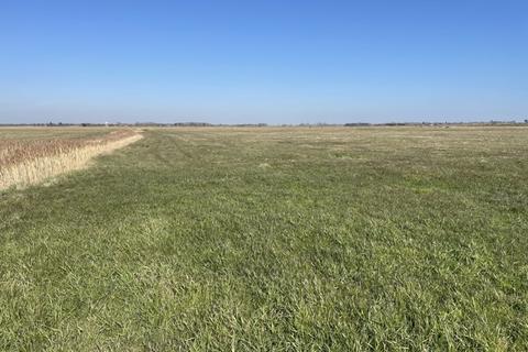 undefined, Grazing Marsh, A47 Acle New Road, Great Yarmouth, Norfolk, NR30