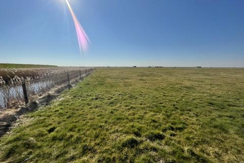 undefined, Grazing Marsh, A47 Acle New Road, Great Yarmouth, Norfolk, NR30