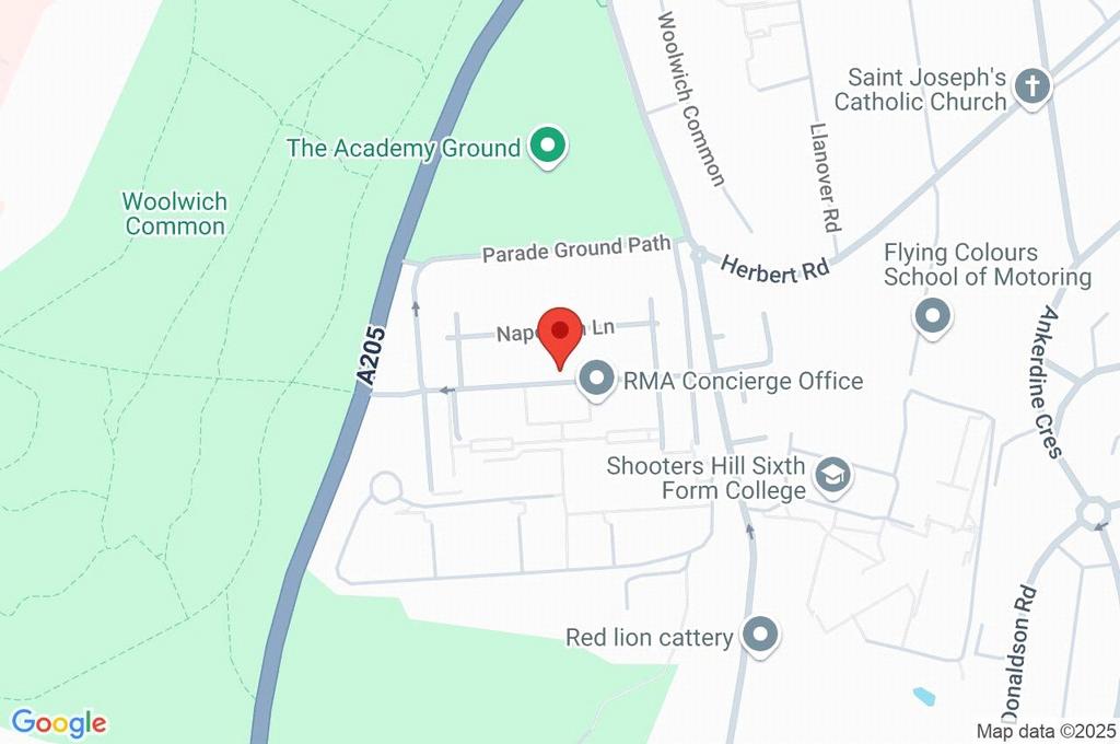 Google Maps Image