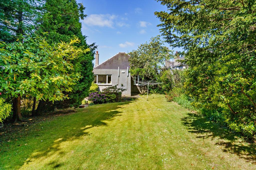 Ample Lawn
