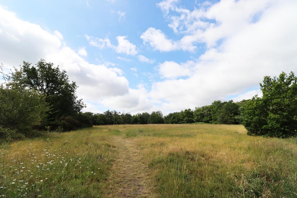 Field2